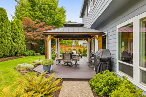 Backyard - View From