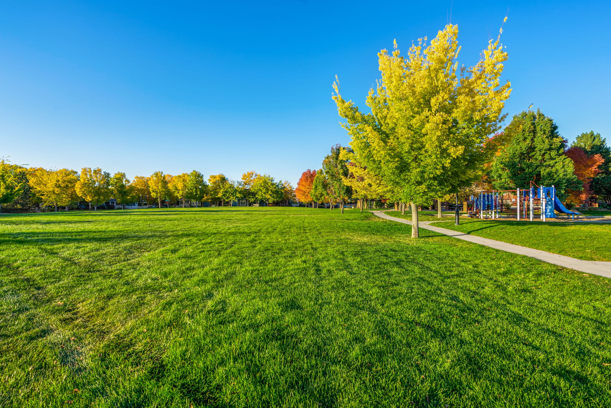 5326 Corbett Dr, Fort Collins, CO 80528, USA Photo 15