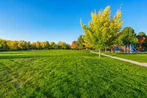 5326 Corbett Dr, Fort Collins, CO 80528, USA Photo 14