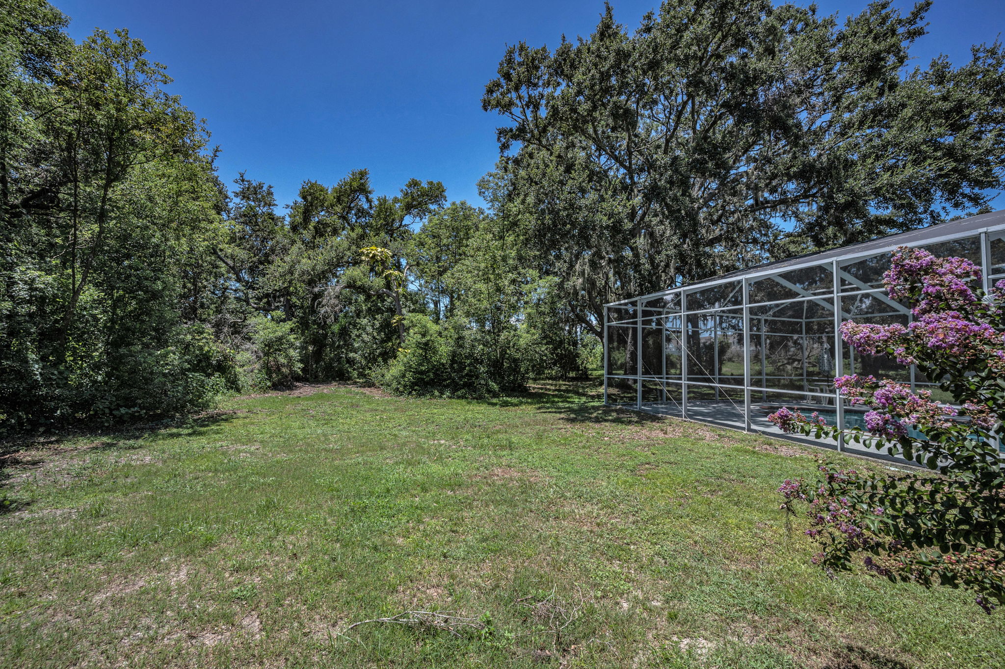 Backyard2
