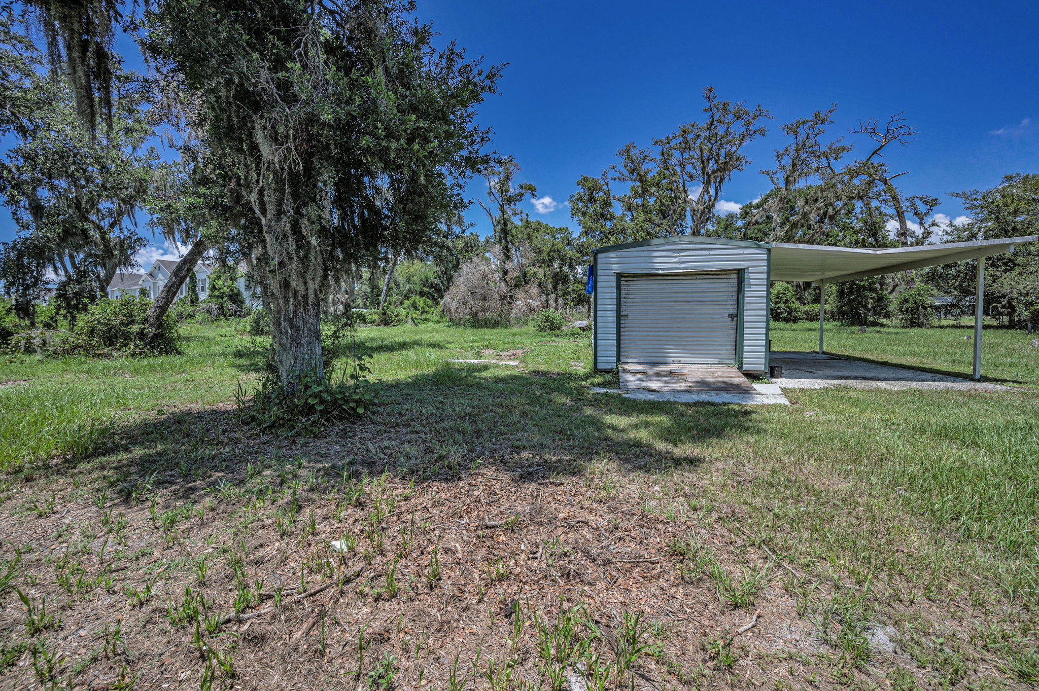 Backyard32
