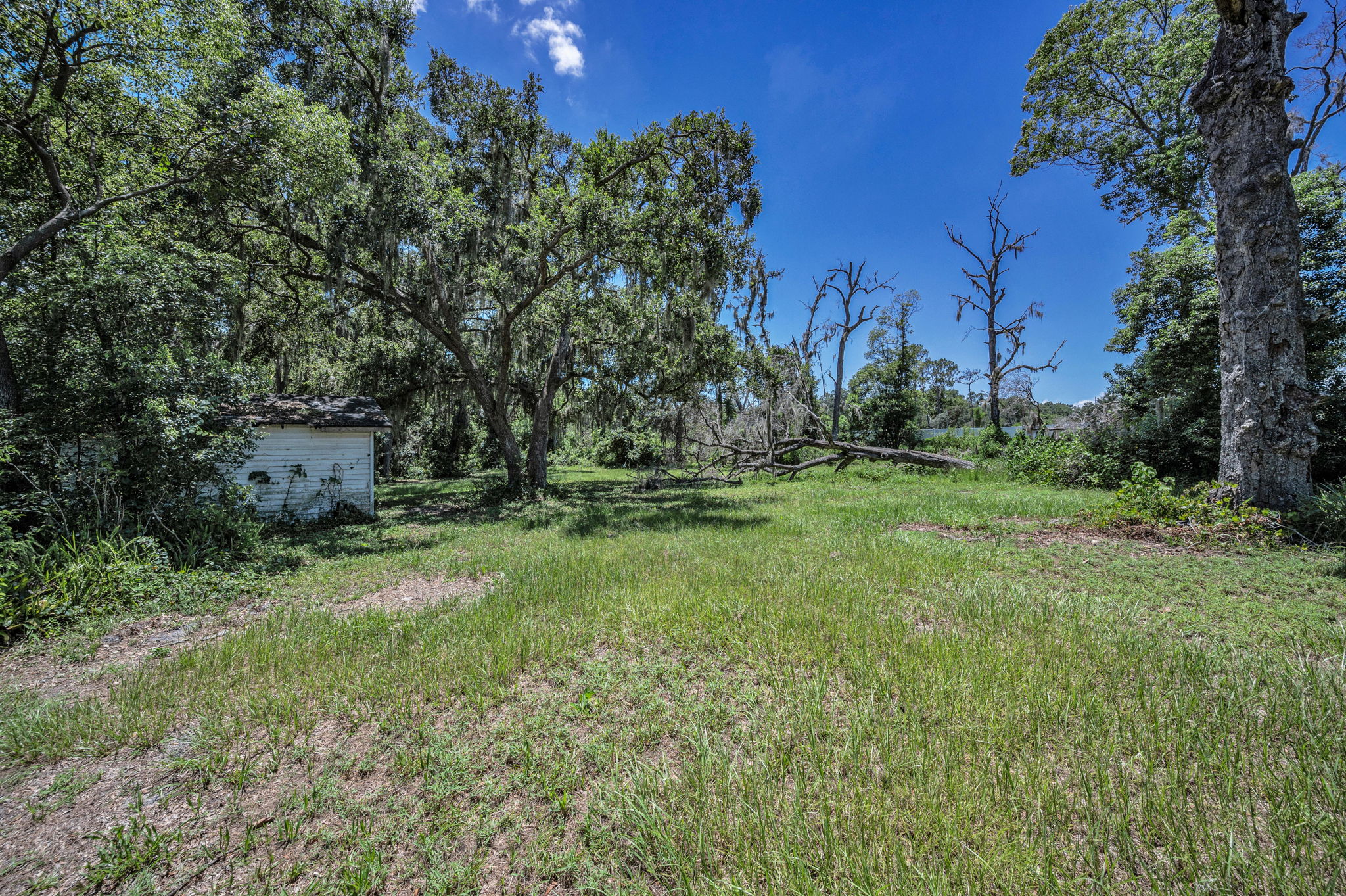 Backyard33