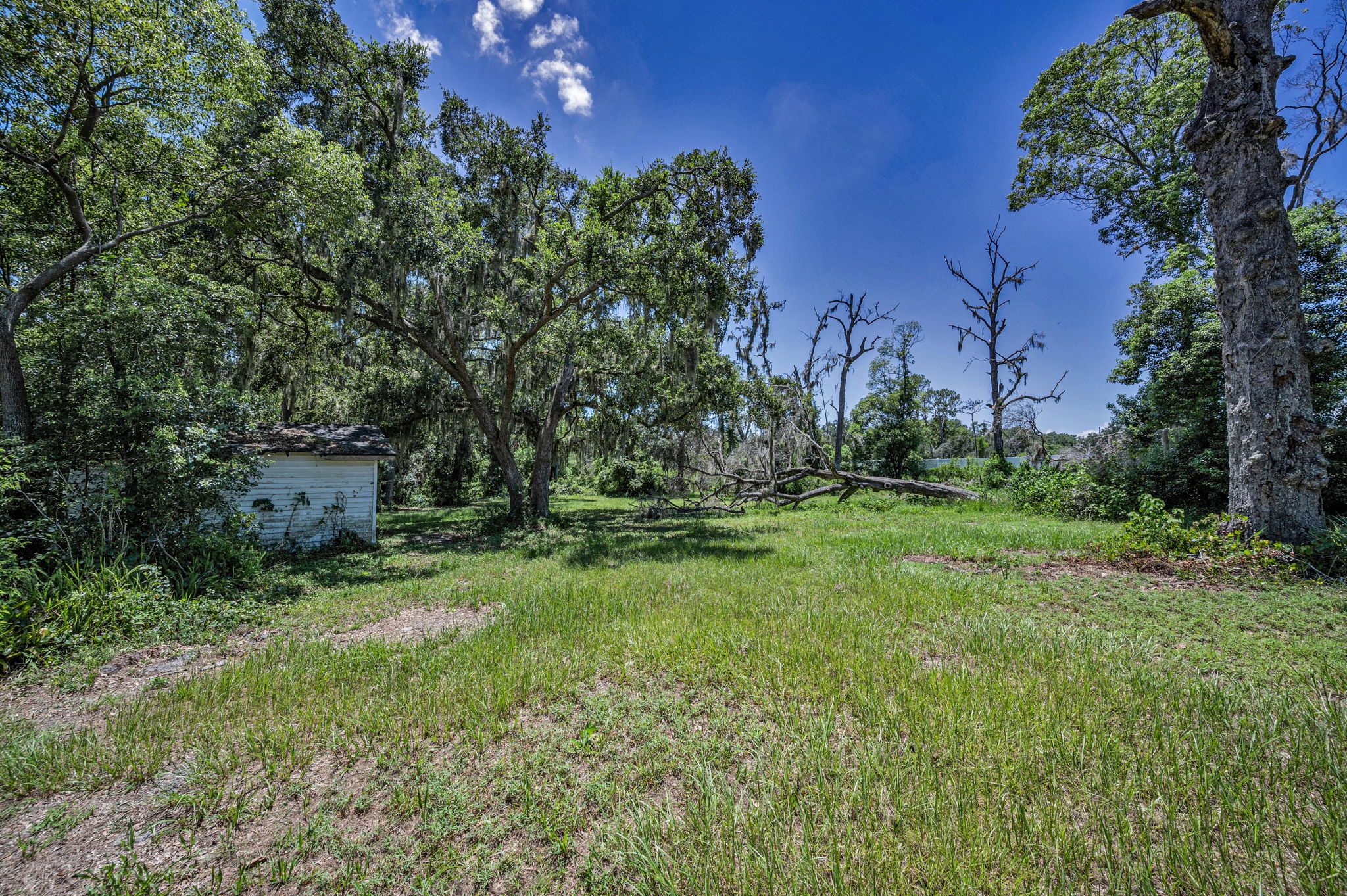 Backyard34