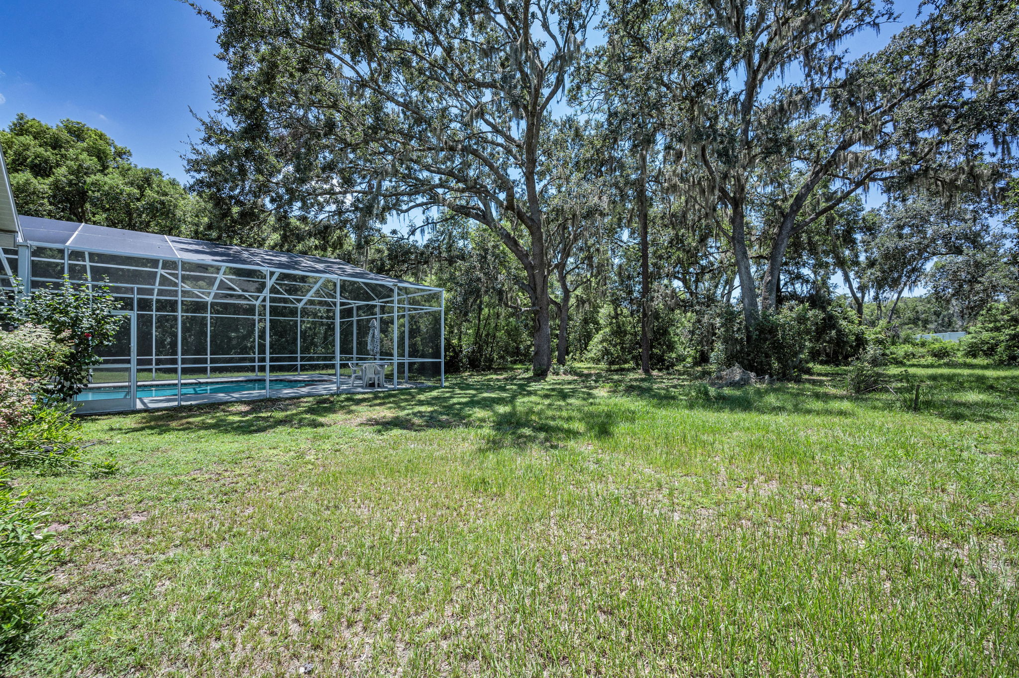 Backyard37