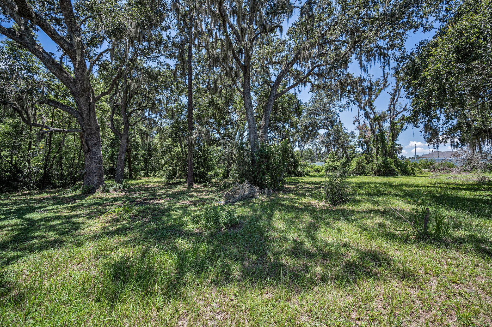 Backyard39