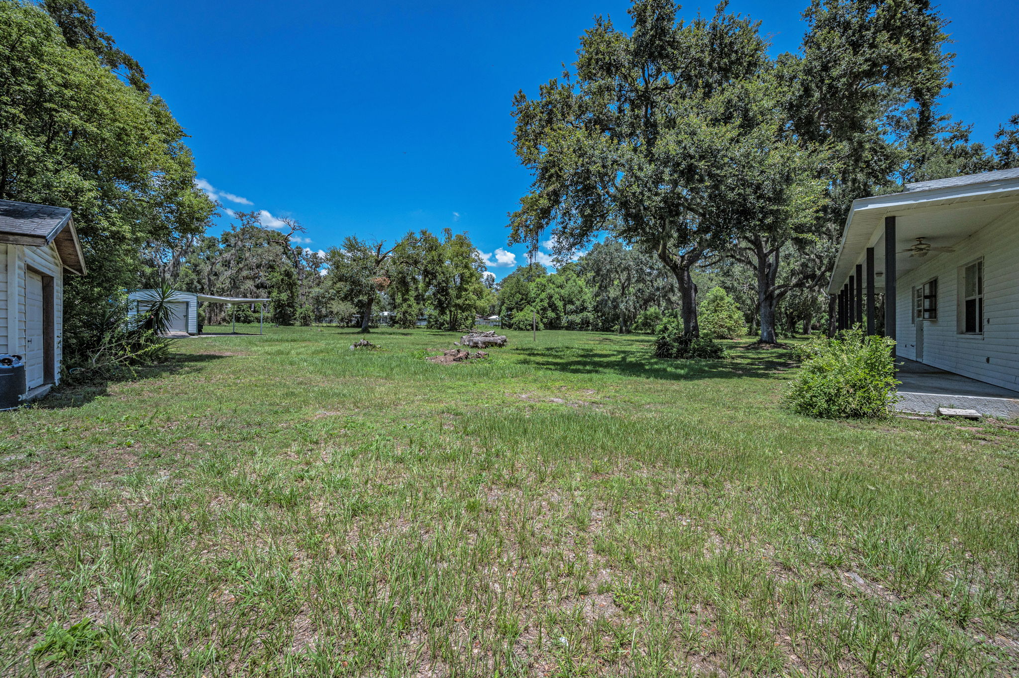 Backyard40