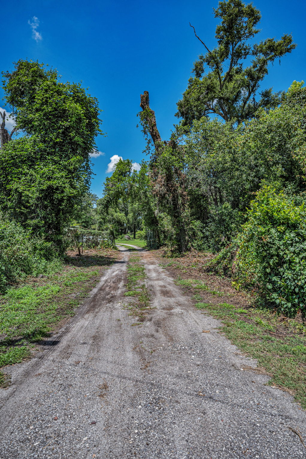 Driveway2