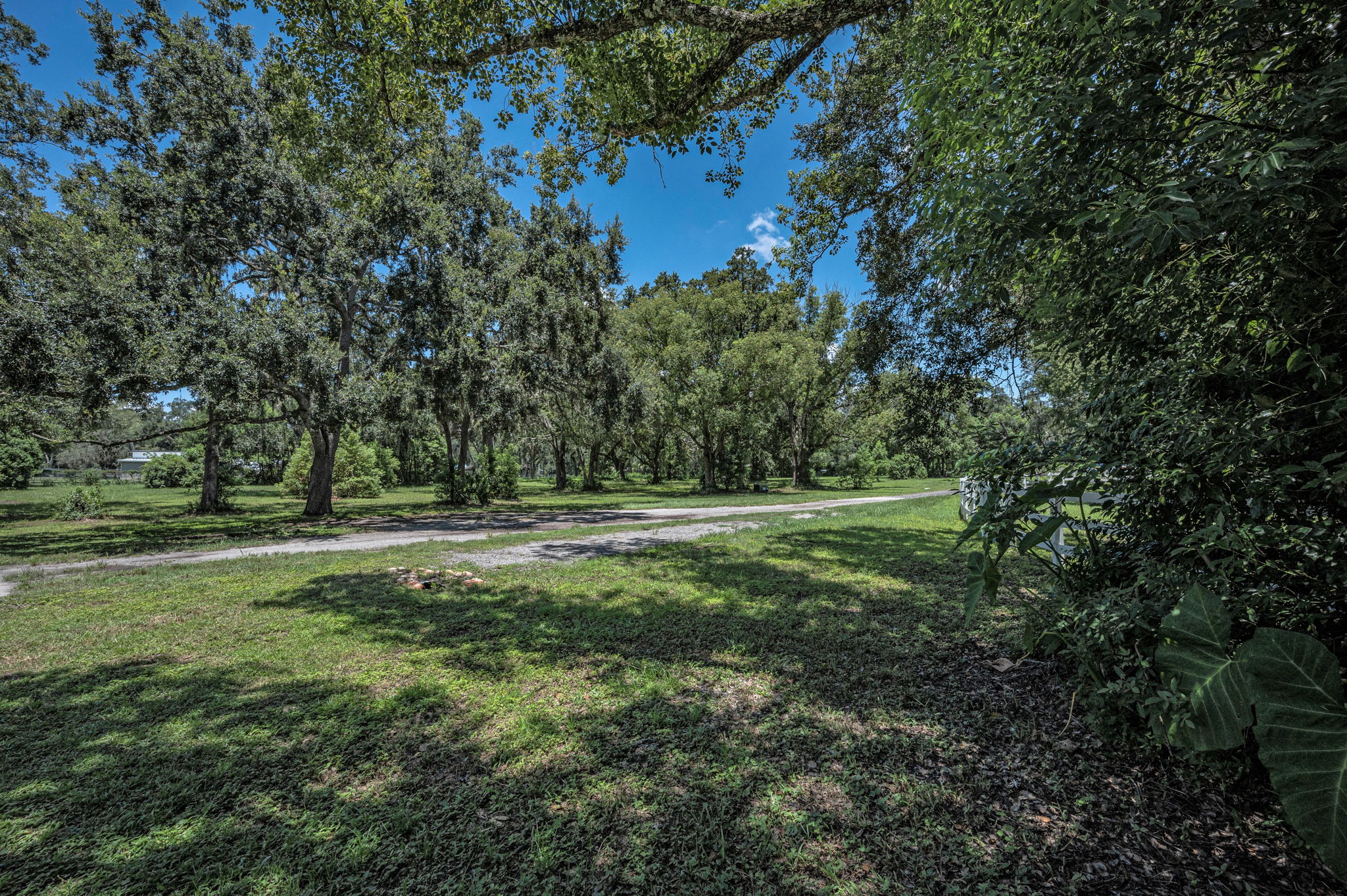Driveway6