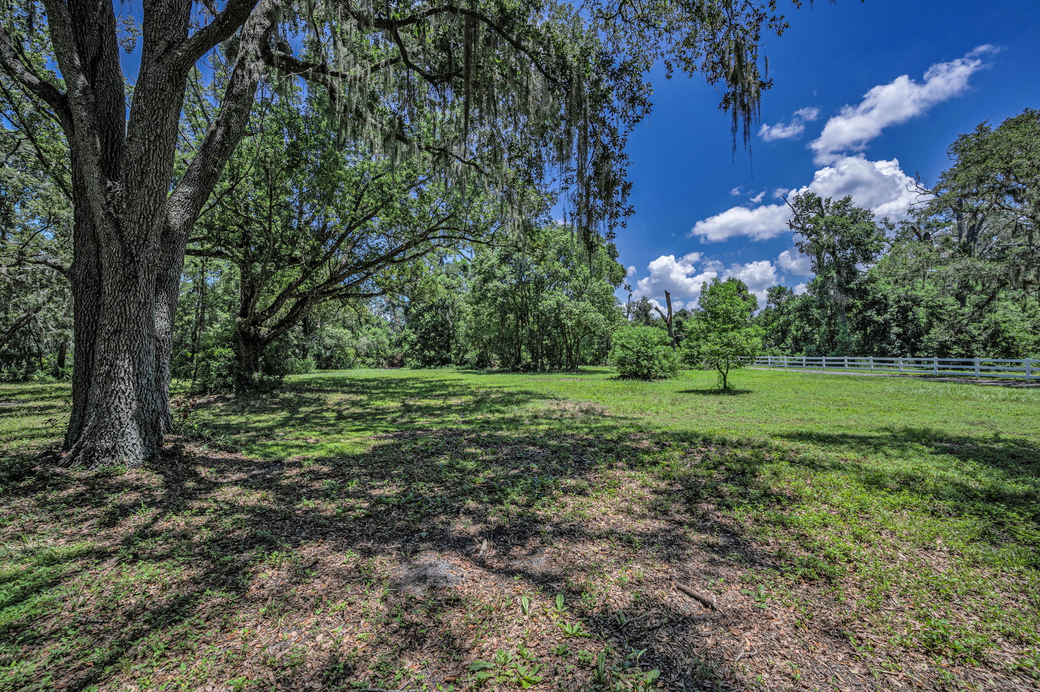 Frontyard8