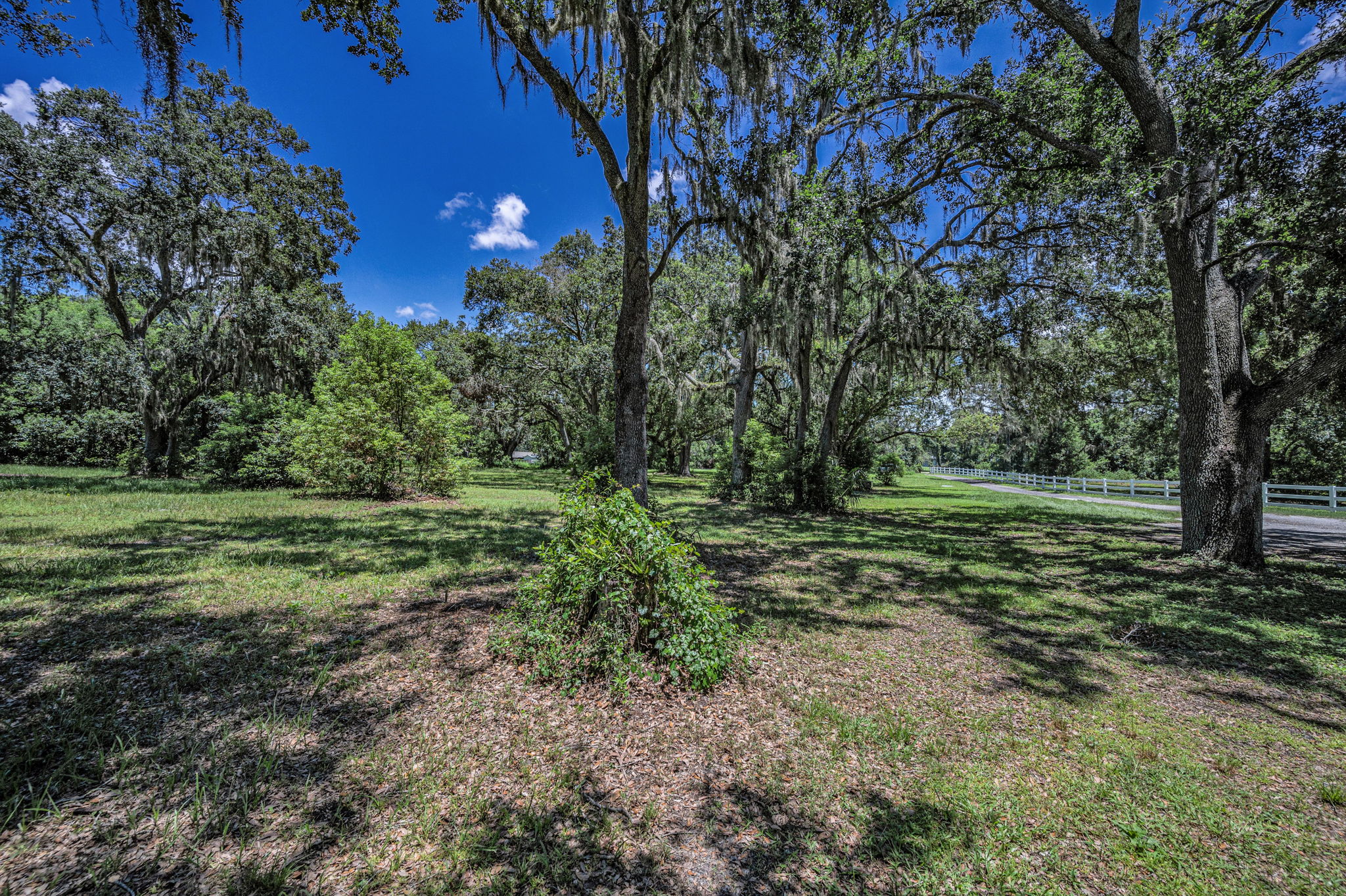 Frontyard12
