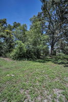 Backyard3