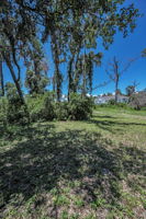 Backyard10