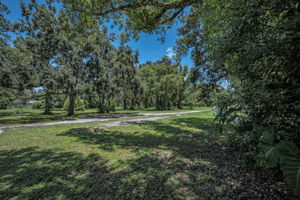 Driveway6