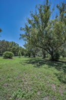Frontyard2