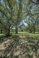 Frontyard7