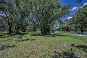 Frontyard9