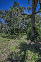 Frontyard10