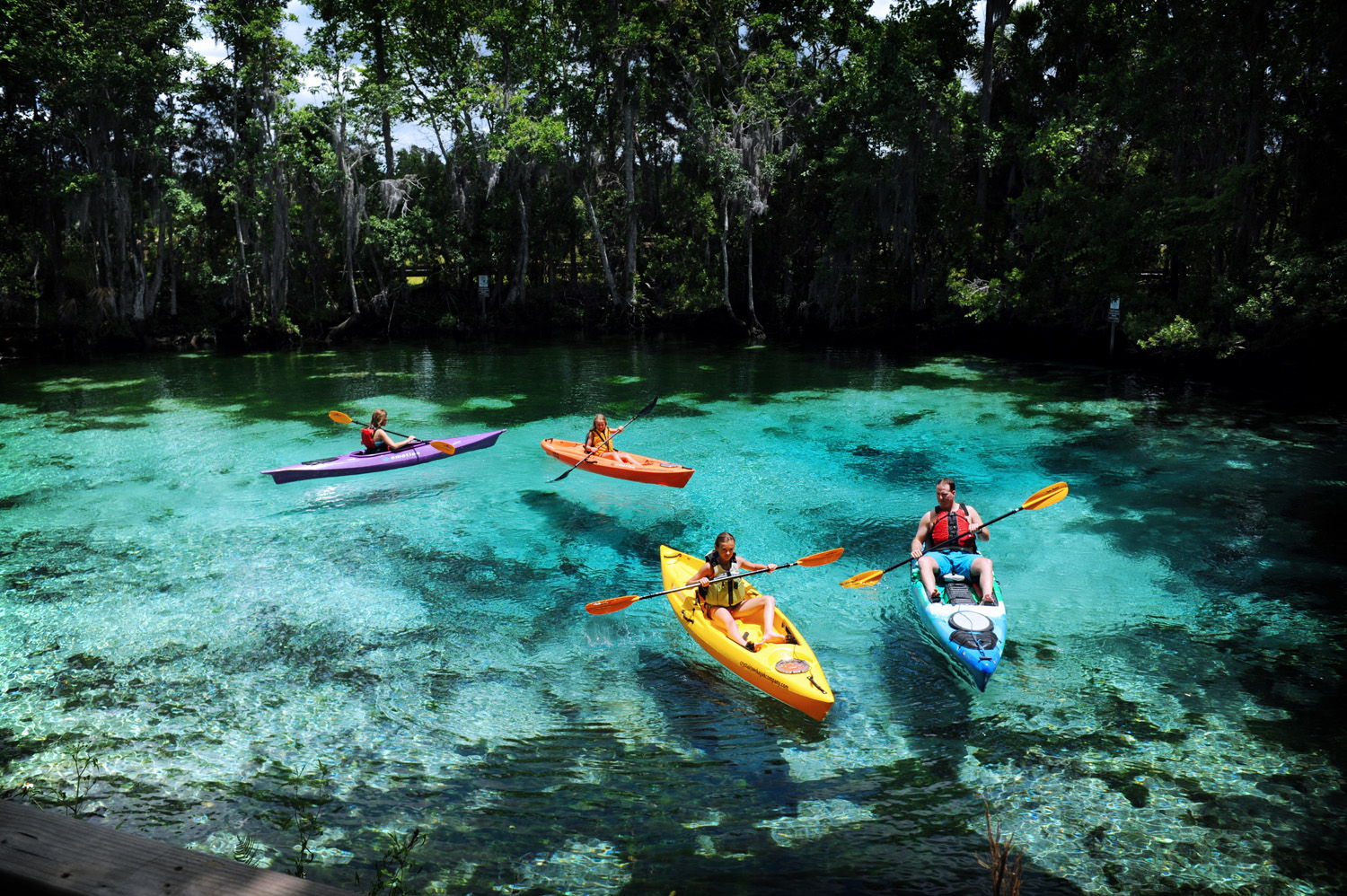 The Nature Coast of Florida features numerous places to enjoy mother nature at her finest in crystal clear spring waters.