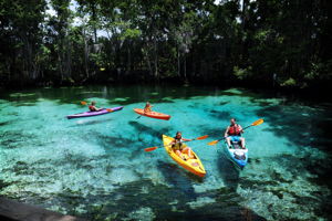 The Nature Coast of Florida features numerous places to enjoy mother nature at her finest in crystal clear spring waters.