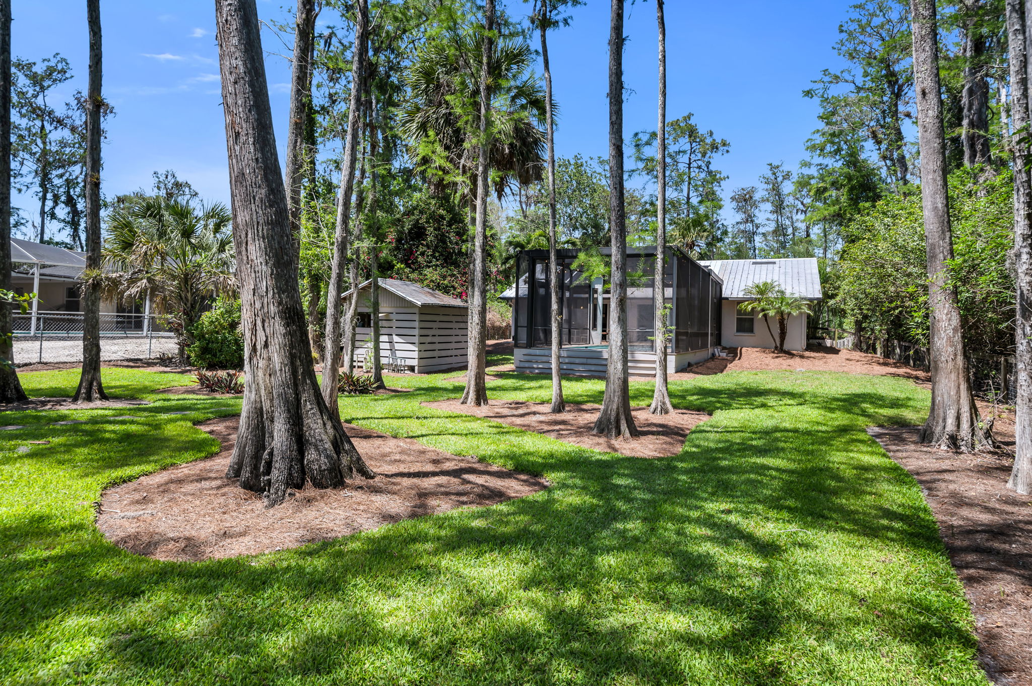 Backyard - Rear Elevation