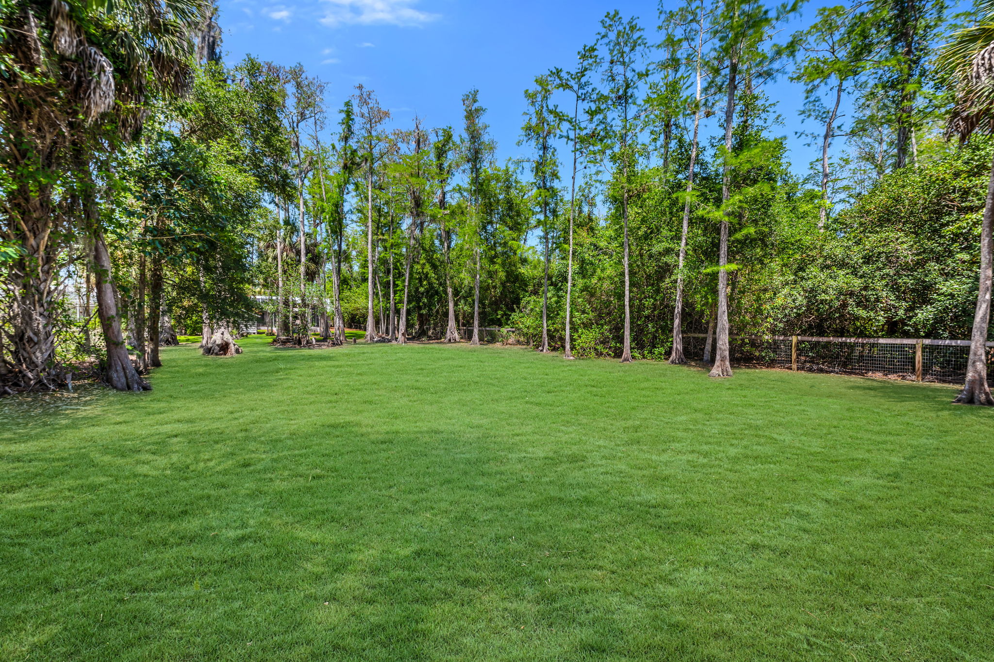 Backyard View 3