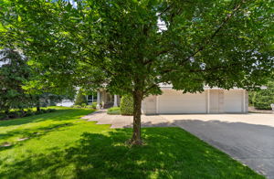 UAV Vision Media (11)