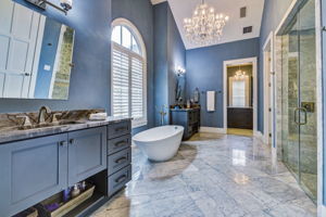 Owners Bath with Statement Tub