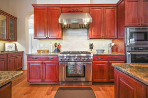 Gas Stove and Hood