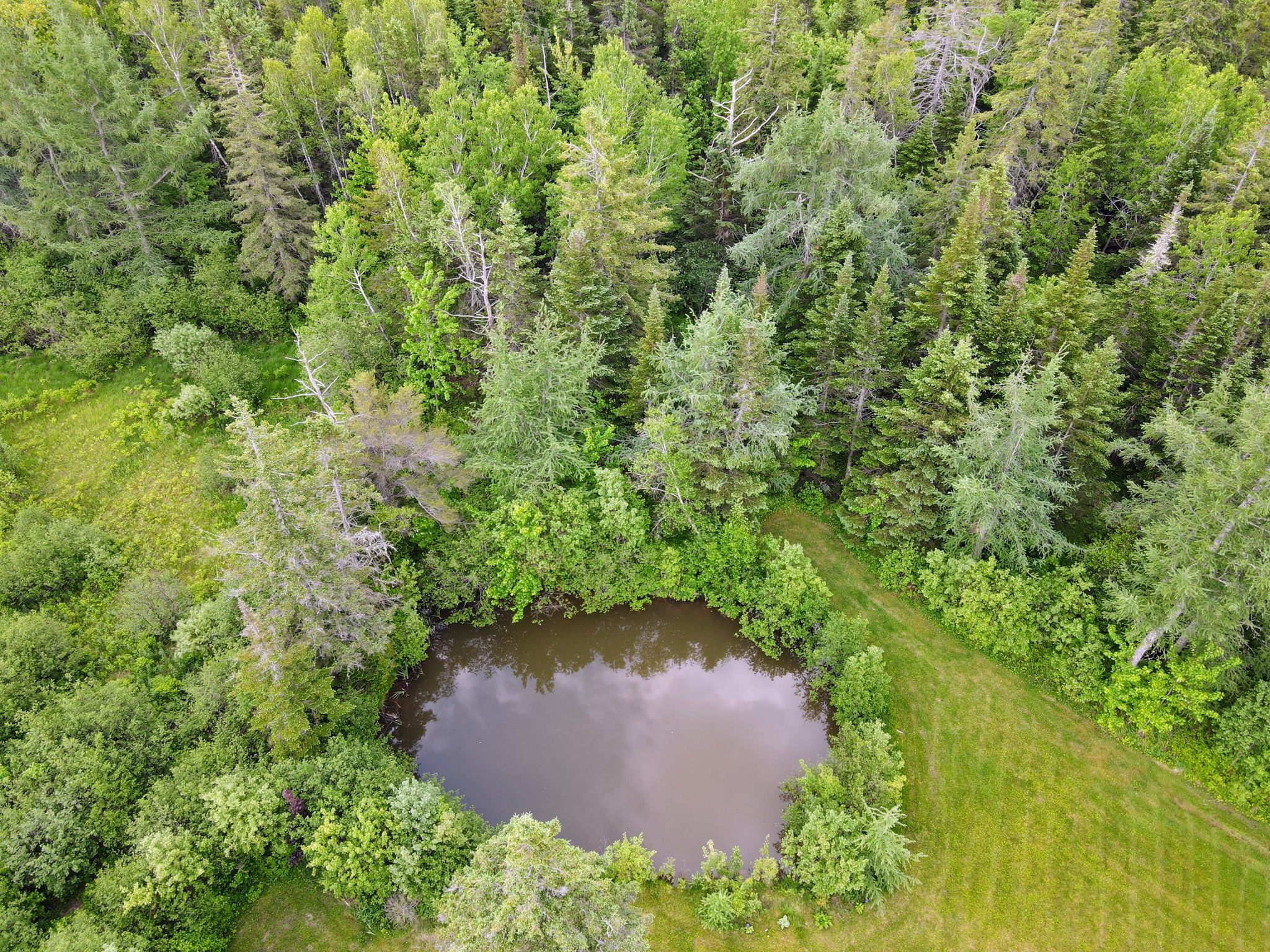 534 Charles Lutes Rd, Lutes Mountain, NB E1G 2T4 PROPICSTA