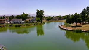  Photo 50