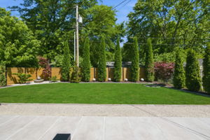  Photo 51