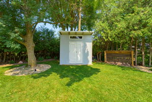  Photo 41