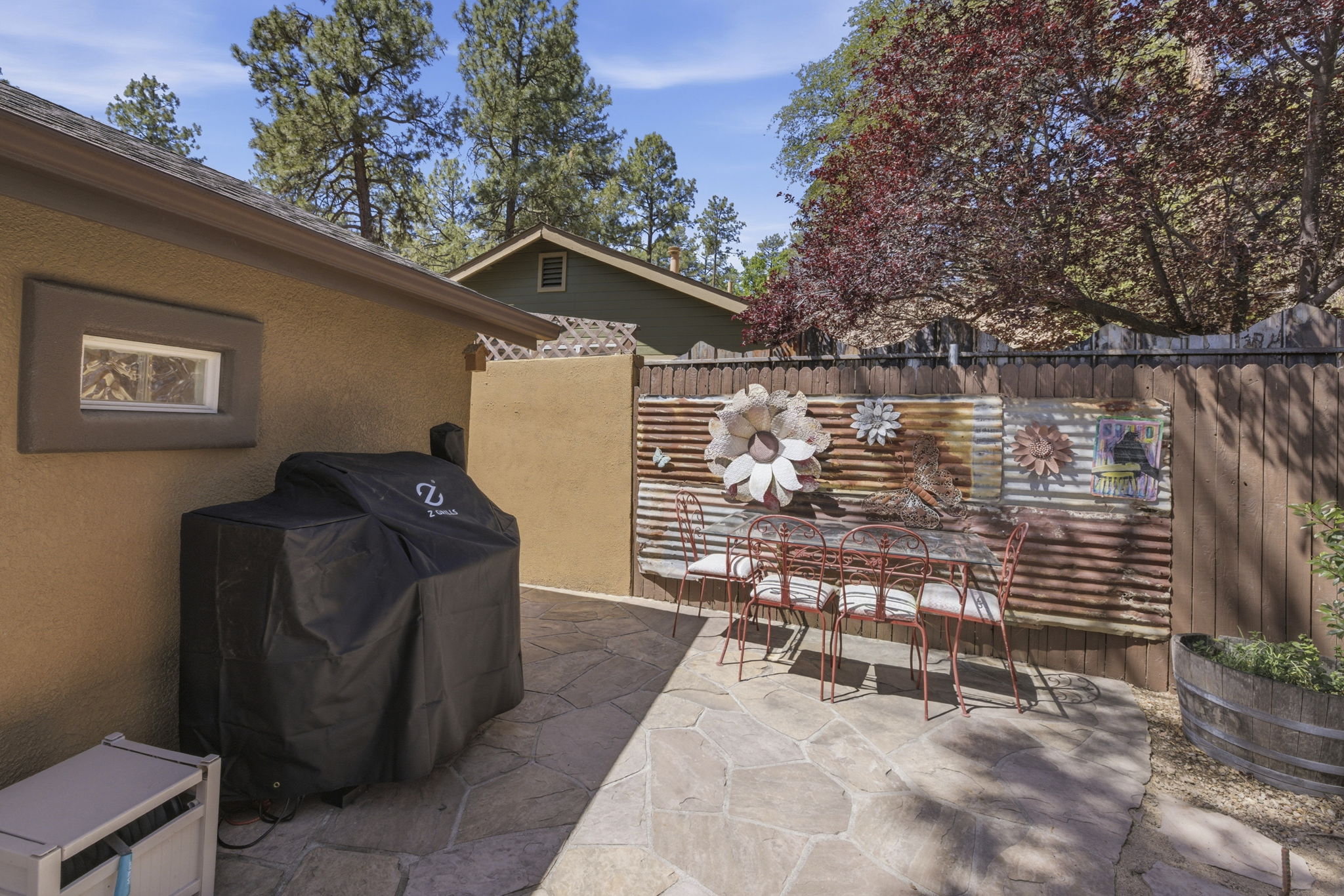 Back Patio 4