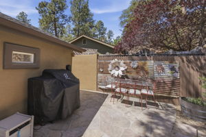 Back Patio 4