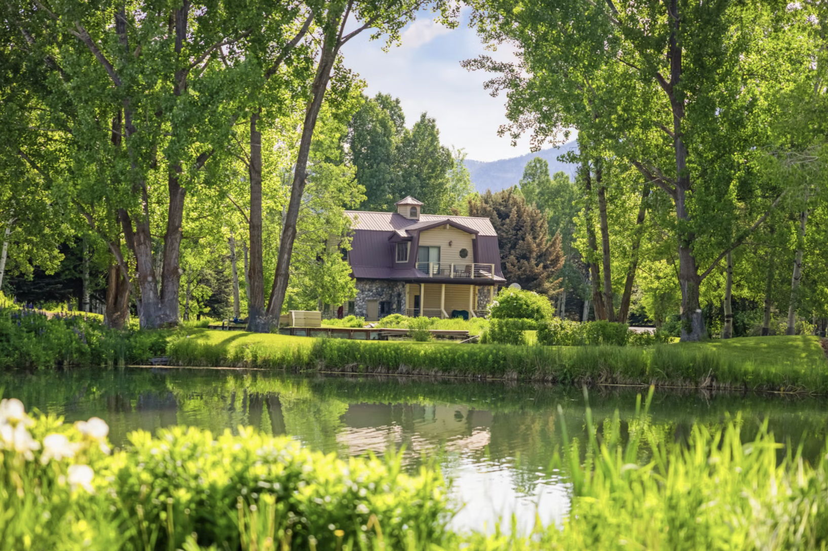 535 Swan Ln, Swan Valley, ID 83449, USA Photo 95