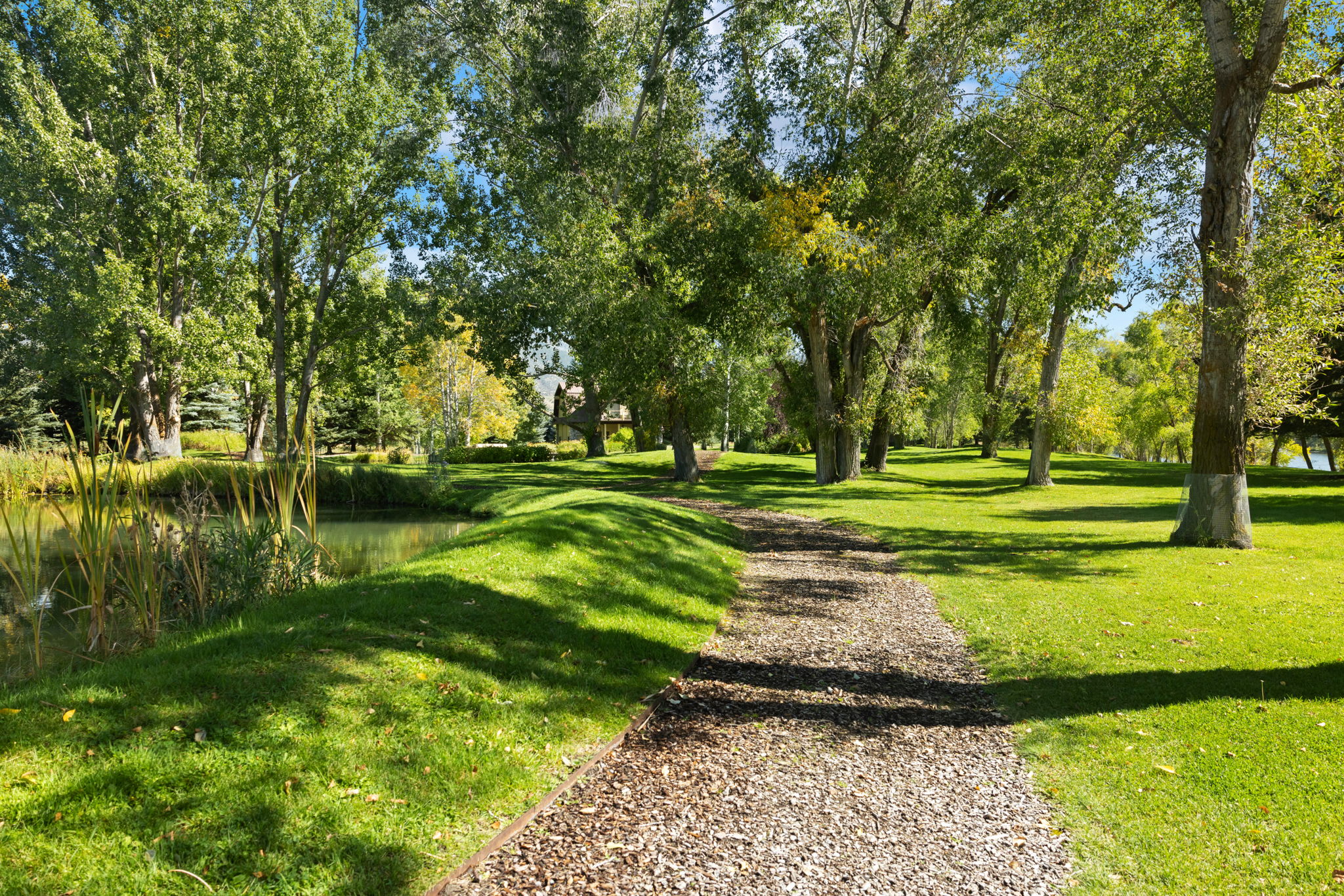 535 Swan Ln, Swan Valley, ID 83449, USA Photo 81