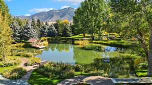535 Swan Ln, Swan Valley, ID 83449, USA Photo 8