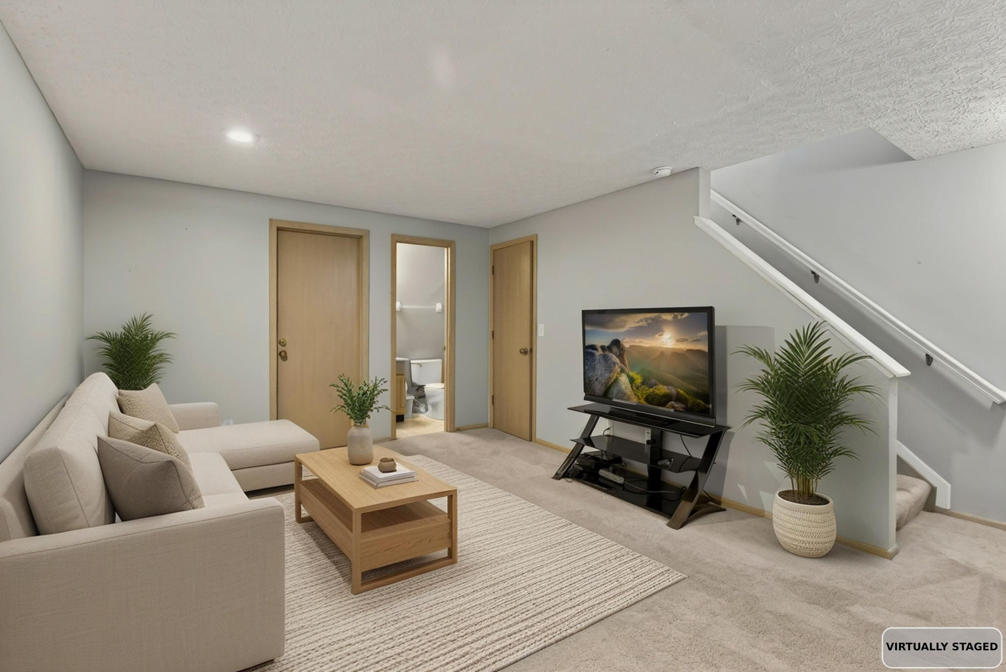 Lower Level Virtually Staged 1
