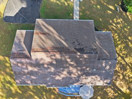  Photo 48