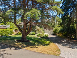  Photo 0