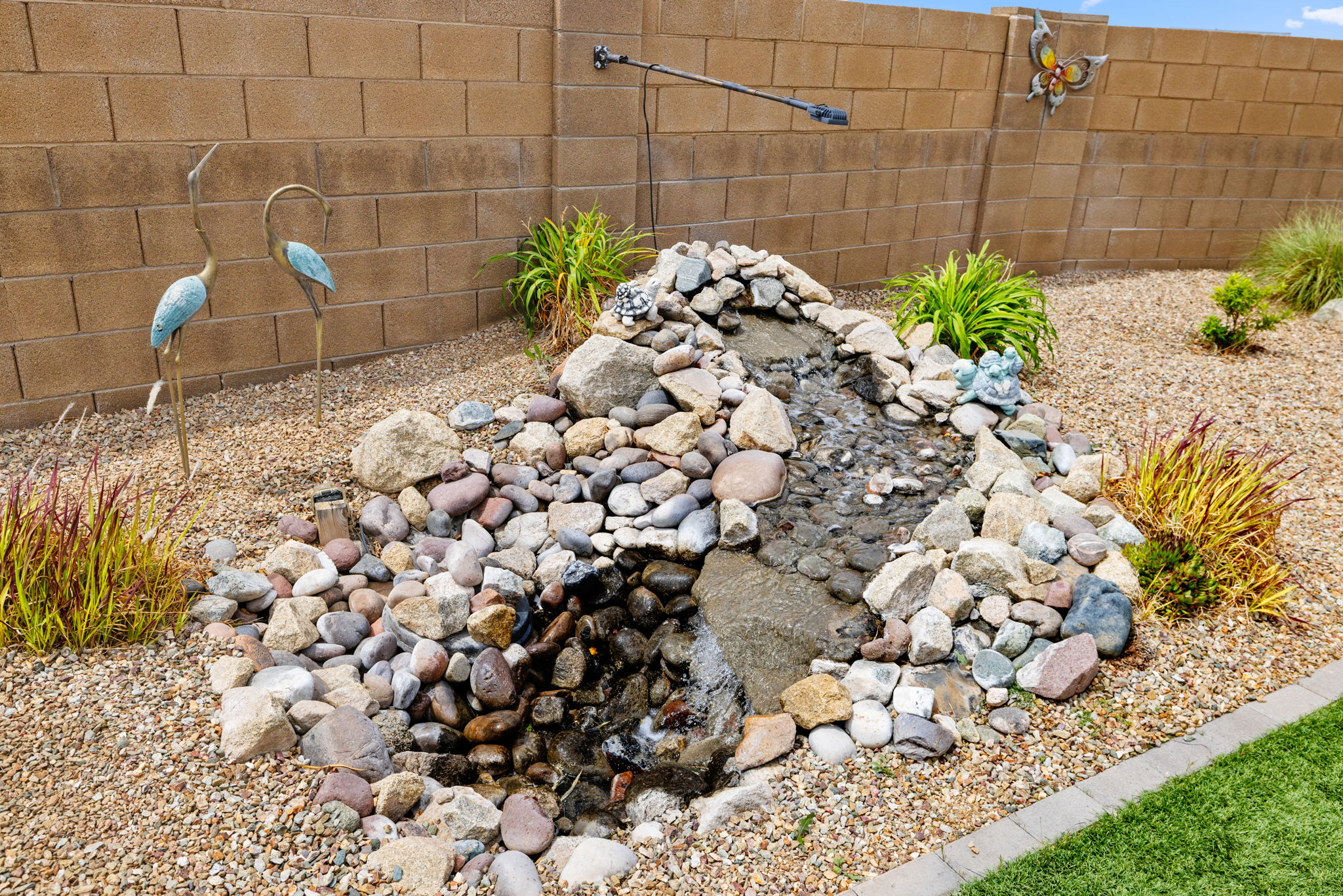 Backyard (2)