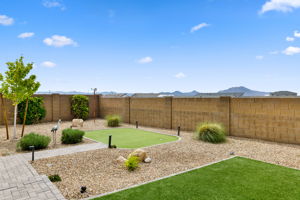 Backyard (1)