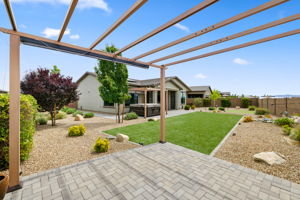 Backyard (4)