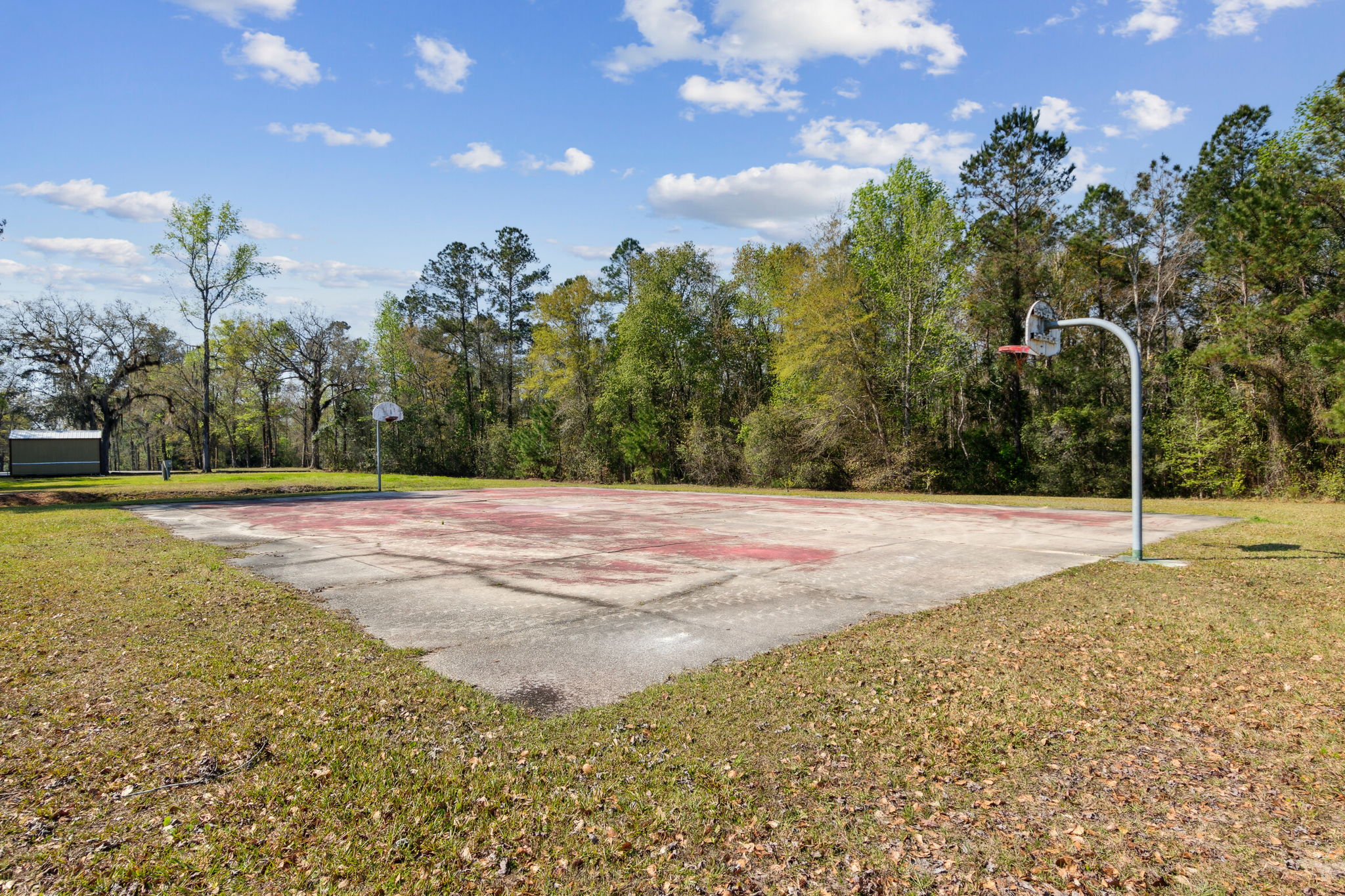 Browntown Wilderness Park