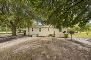 Back of Home