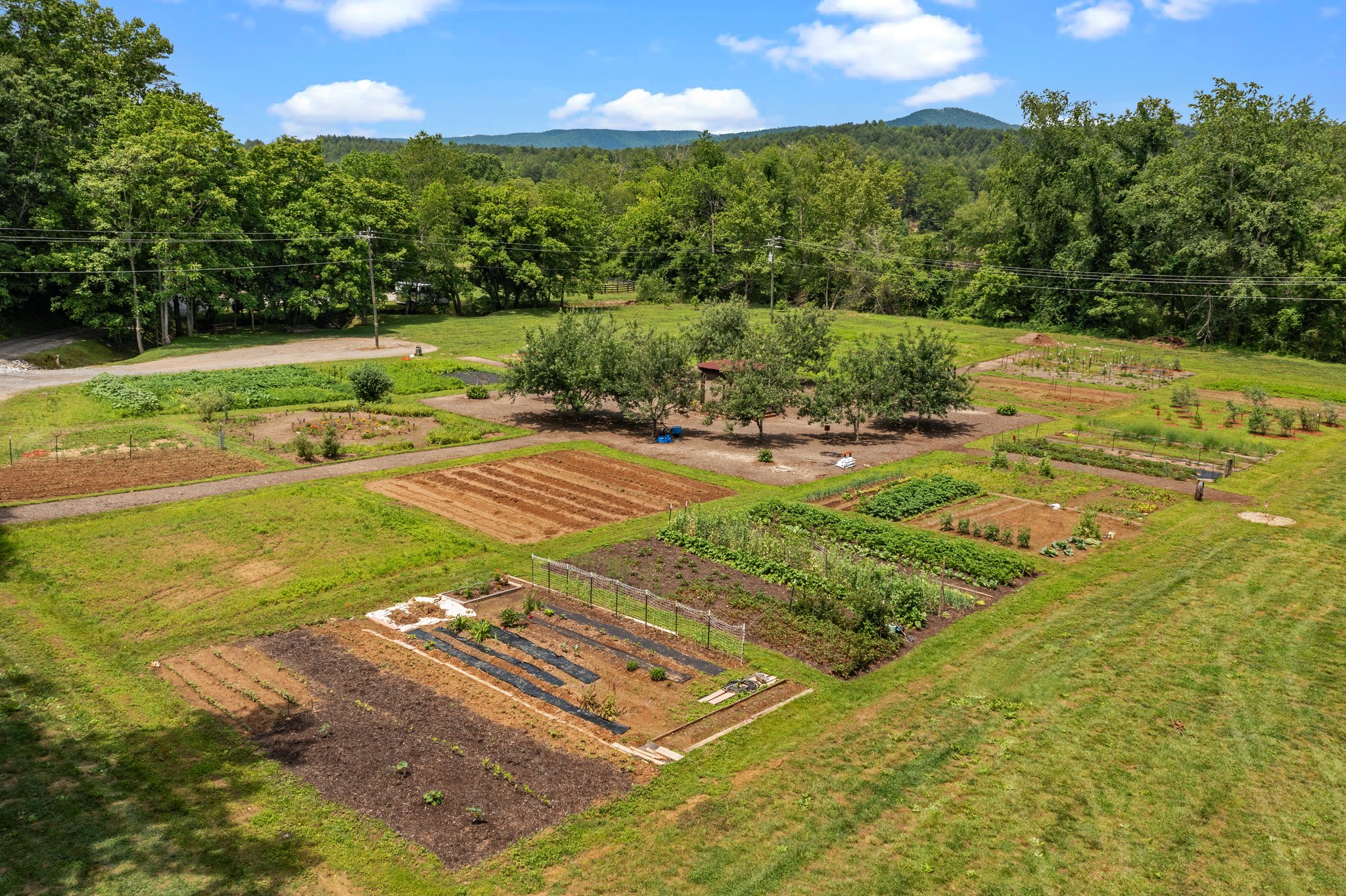 Community Garden
