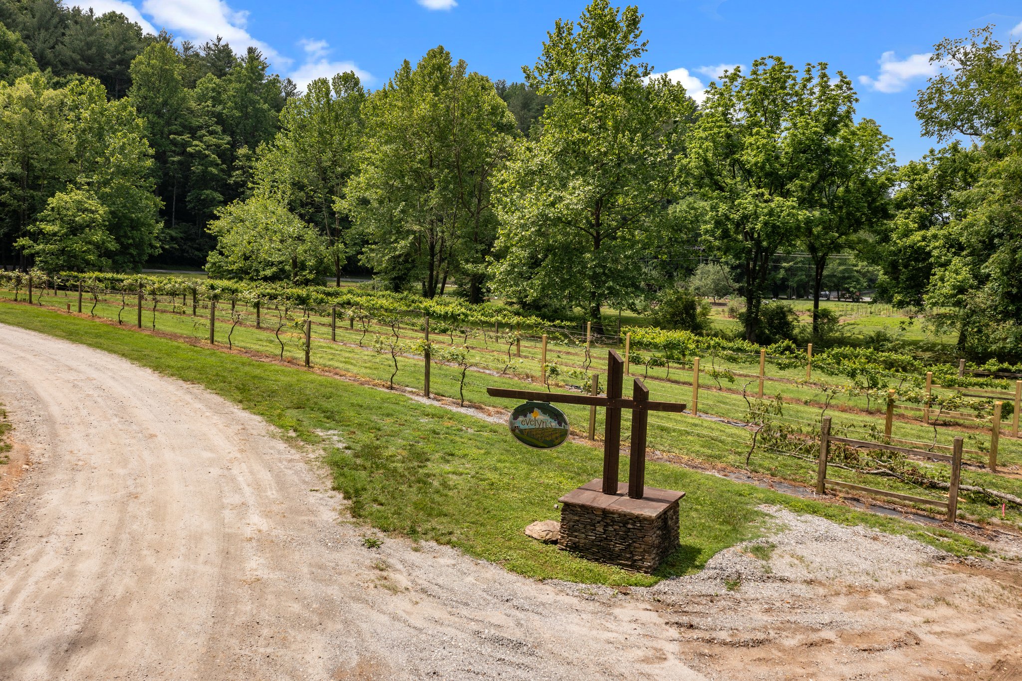 Community Vineyard