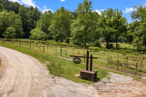 Community Vineyard