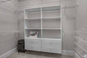 Primary closet