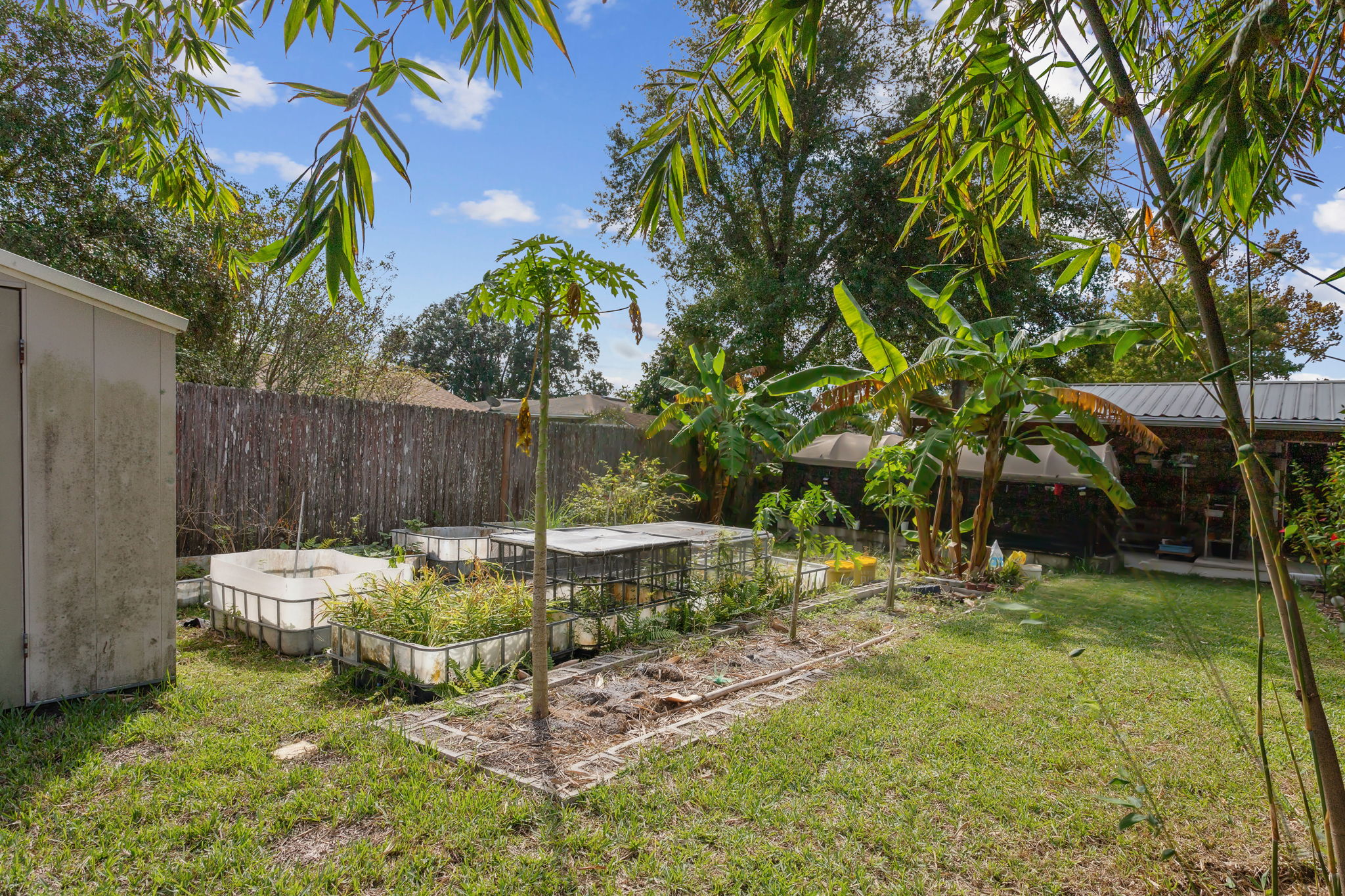 Backyard